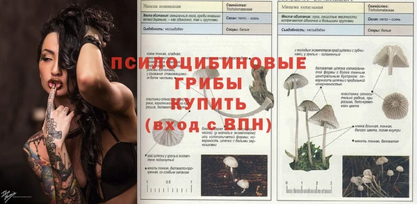 MESCALINE Дмитровск