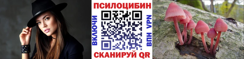 Псилоцибиновые грибы мицелий  Купить  Пугачёв 